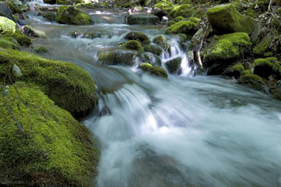 stream